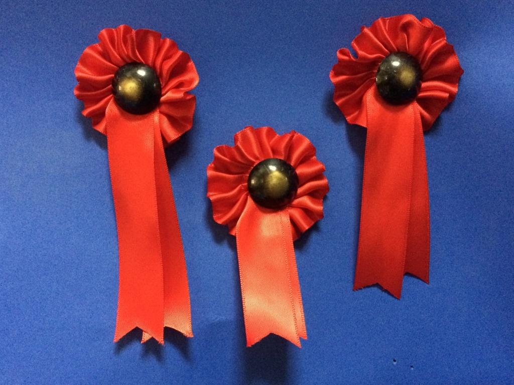  rocking horse green rosettes