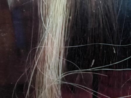 piebald horse hair