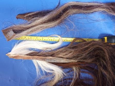 skewbald horse hair
