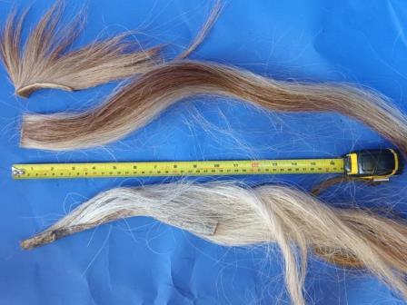 roan horse hair